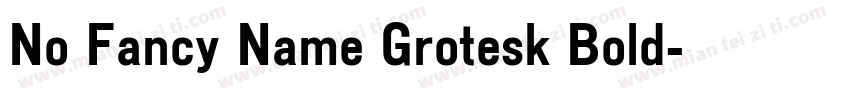 No Fancy Name Grotesk Bold字体转换